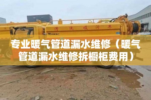 专业暖气管道漏水维修（暖气管道漏水维修拆橱柜费用）