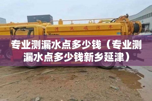 专业测漏水点多少钱（专业测漏水点多少钱新乡延津）