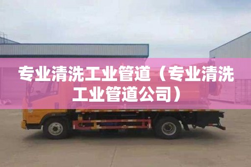 专业清洗工业管道（专业清洗工业管道公司）