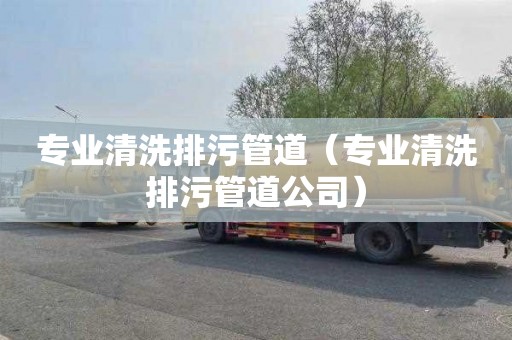 专业清洗排污管道（专业清洗排污管道公司）