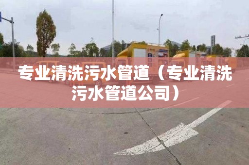 专业清洗污水管道（专业清洗污水管道公司）