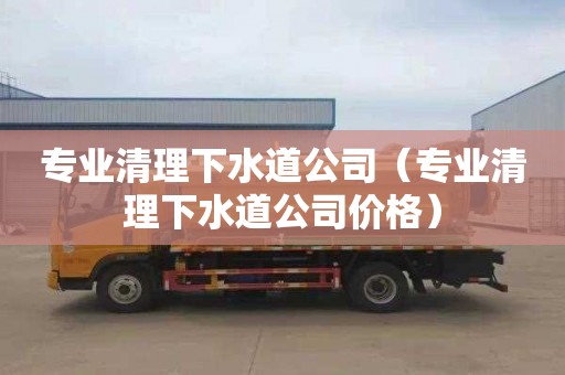 专业清理下水道公司（专业清理下水道公司价格）