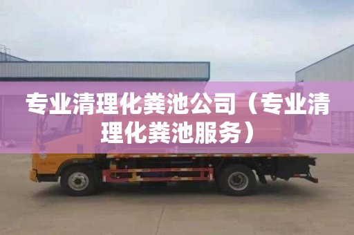 专业清理化粪池公司（专业清理化粪池服务）