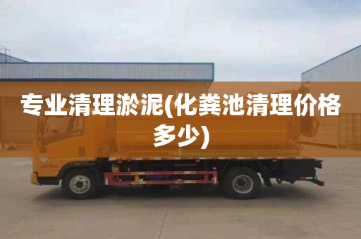 专业清理淤泥(化粪池清理价格多少)