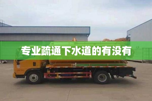 专业疏通下水道的有没有