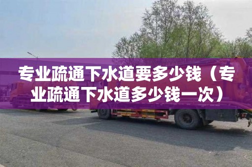 专业疏通下水道要多少钱（专业疏通下水道多少钱一次）