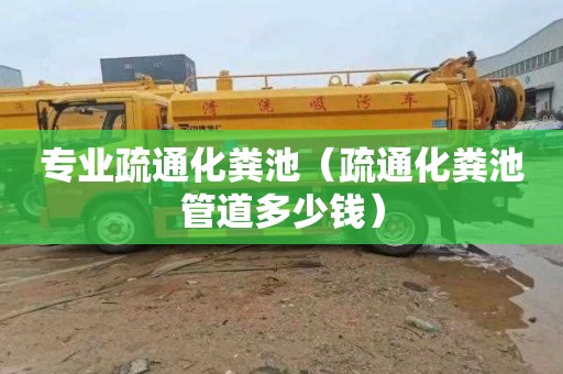专业疏通化粪池（疏通化粪池管道多少钱）