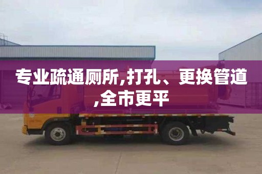 专业疏通厕所,打孔、更换管道,全市更平