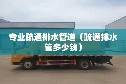专业疏通排水管道（疏通排水管多少钱）
