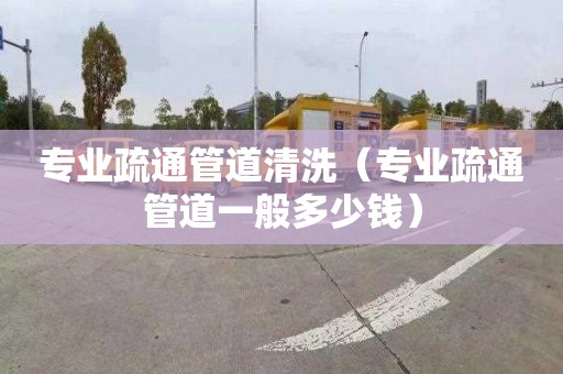 专业疏通管道清洗（专业疏通管道一般多少钱）