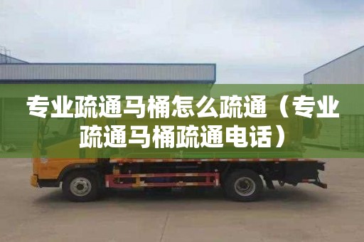 专业疏通马桶怎么疏通（专业疏通马桶疏通电话）
