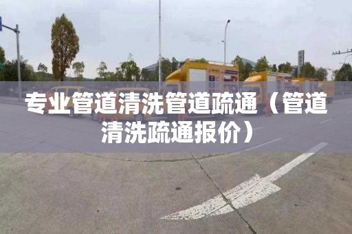 专业管道清洗管道疏通（管道清洗疏通报价）