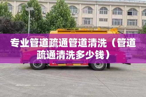专业管道疏通管道清洗（管道疏通清洗多少钱）