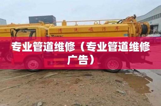 专业管道维修（专业管道维修广告）