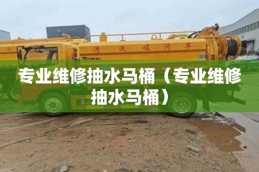 专业维修抽水马桶（专业维修抽水马桶）
