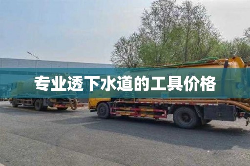 专业透下水道的工具价格