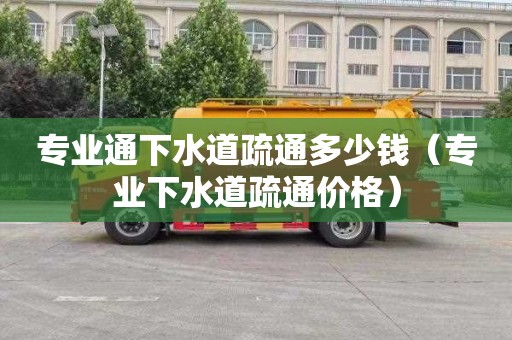 专业通下水道疏通多少钱（专业下水道疏通价格）