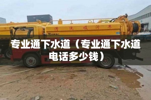 专业通下水道（专业通下水道电话多少钱）