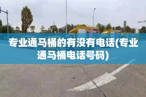 专业通马桶的有没有电话(专业通马桶电话号码)