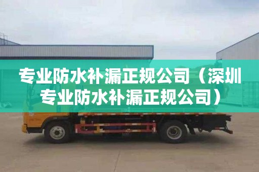 专业防水补漏正规公司（深圳专业防水补漏正规公司）