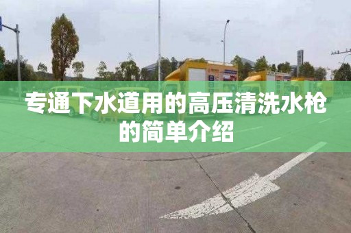 专通下水道用的高压清洗水枪的简单介绍