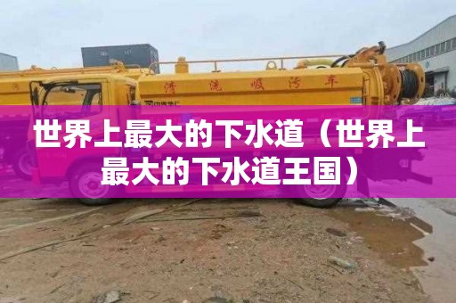 世界上最大的下水道（世界上最大的下水道王国）