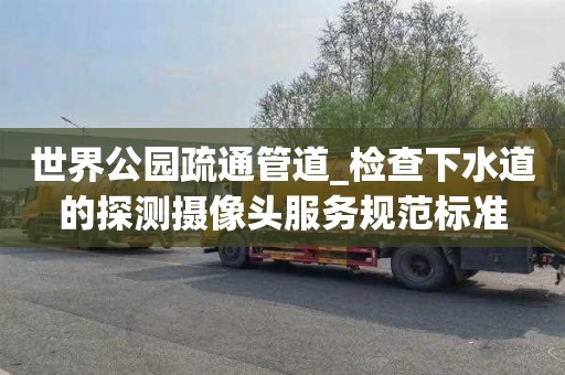 世界公园疏通管道_检查下水道的探测摄像头服务规范标准