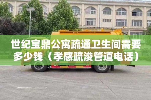 世纪宝鼎公寓疏通卫生间需要多少钱（孝感疏浚管道电话）