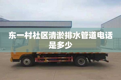 东一村社区清淤排水管道电话是多少