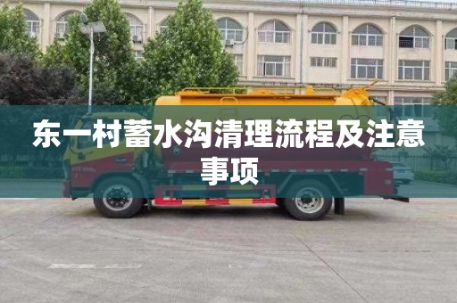 东一村蓄水沟清理流程及注意事项
