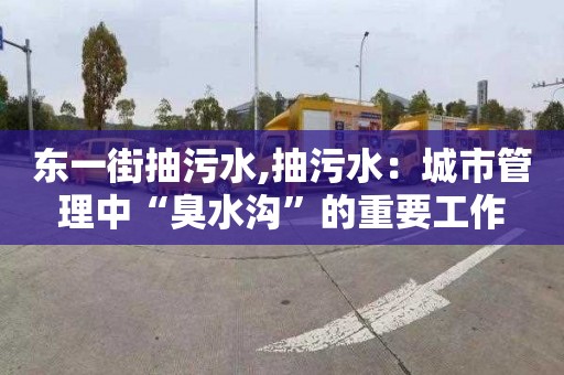 东一街抽污水,抽污水：城市管理中“臭水沟”的重要工作