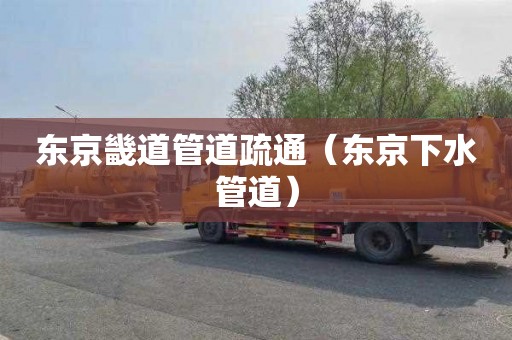 东京畿道管道疏通（东京下水管道）