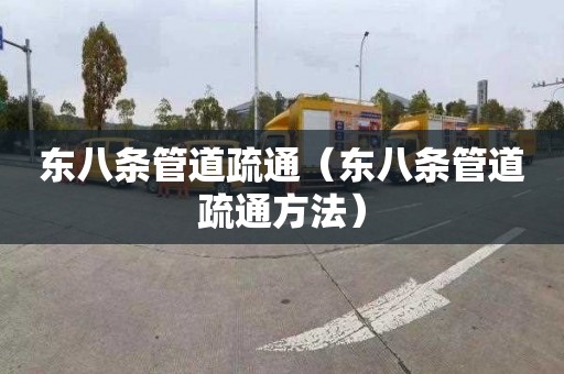 东八条管道疏通（东八条管道疏通方法）