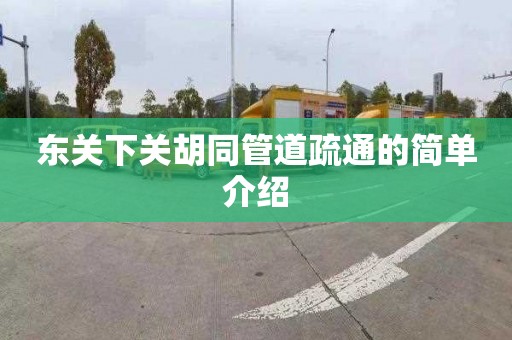 东关下关胡同管道疏通的简单介绍