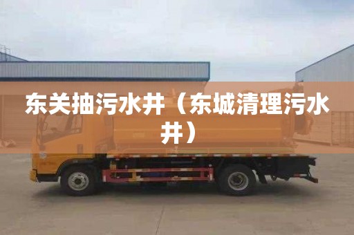 东关抽污水井（东城清理污水井）