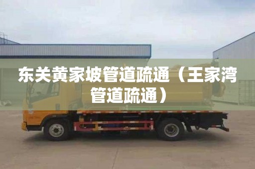 东关黄家坡管道疏通（王家湾管道疏通）