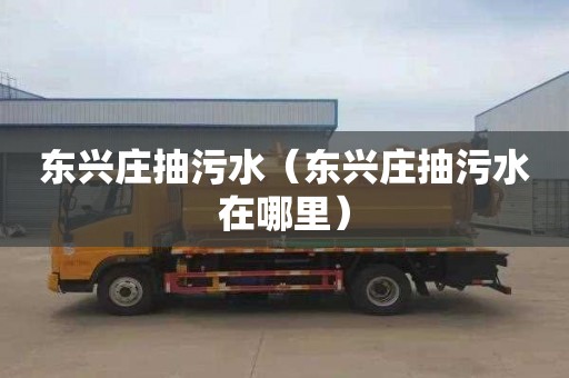 东兴庄抽污水（东兴庄抽污水在哪里）