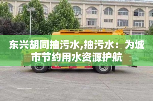 东兴胡同抽污水,抽污水：为城市节约用水资源护航