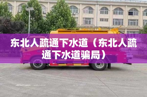 东北人疏通下水道（东北人疏通下水道骗局）