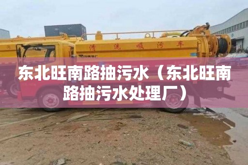 东北旺南路抽污水（东北旺南路抽污水处理厂）