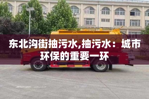 东北沟街抽污水,抽污水：城市环保的重要一环