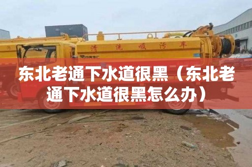东北老通下水道很黑（东北老通下水道很黑怎么办）
