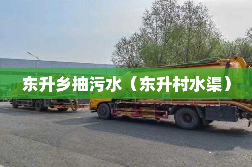 东升乡抽污水（东升村水渠）
