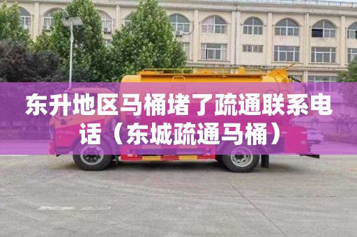东升地区马桶堵了疏通联系电话（东城疏通马桶）