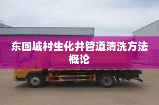 东回城村生化井管道清洗方法概论
