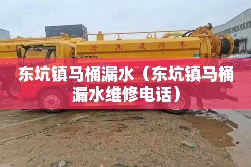 东坑镇马桶漏水（东坑镇马桶漏水维修电话）