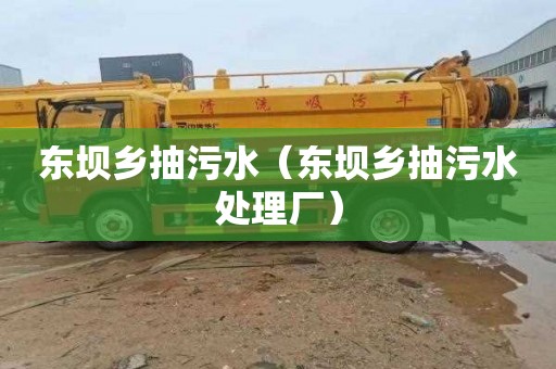 东坝乡抽污水（东坝乡抽污水处理厂）