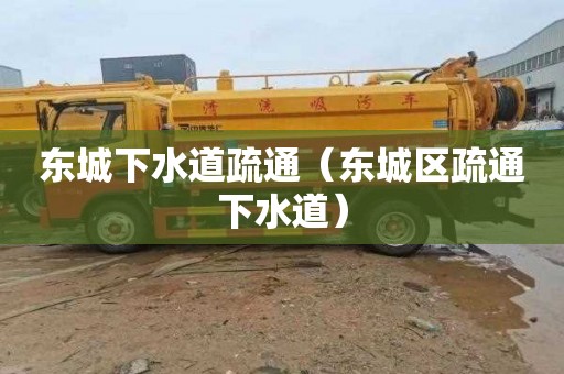 东城下水道疏通（东城区疏通下水道）