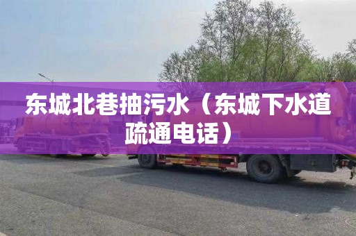 东城北巷抽污水（东城下水道疏通电话）