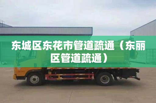 东城区东花市管道疏通（东丽区管道疏通）